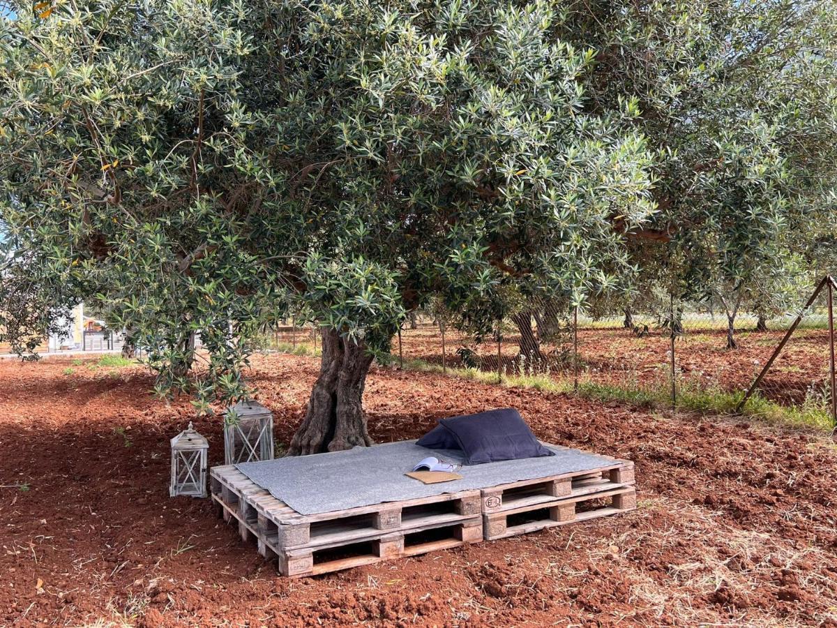 Villa Santareddi Castelluzzo Dış mekan fotoğraf