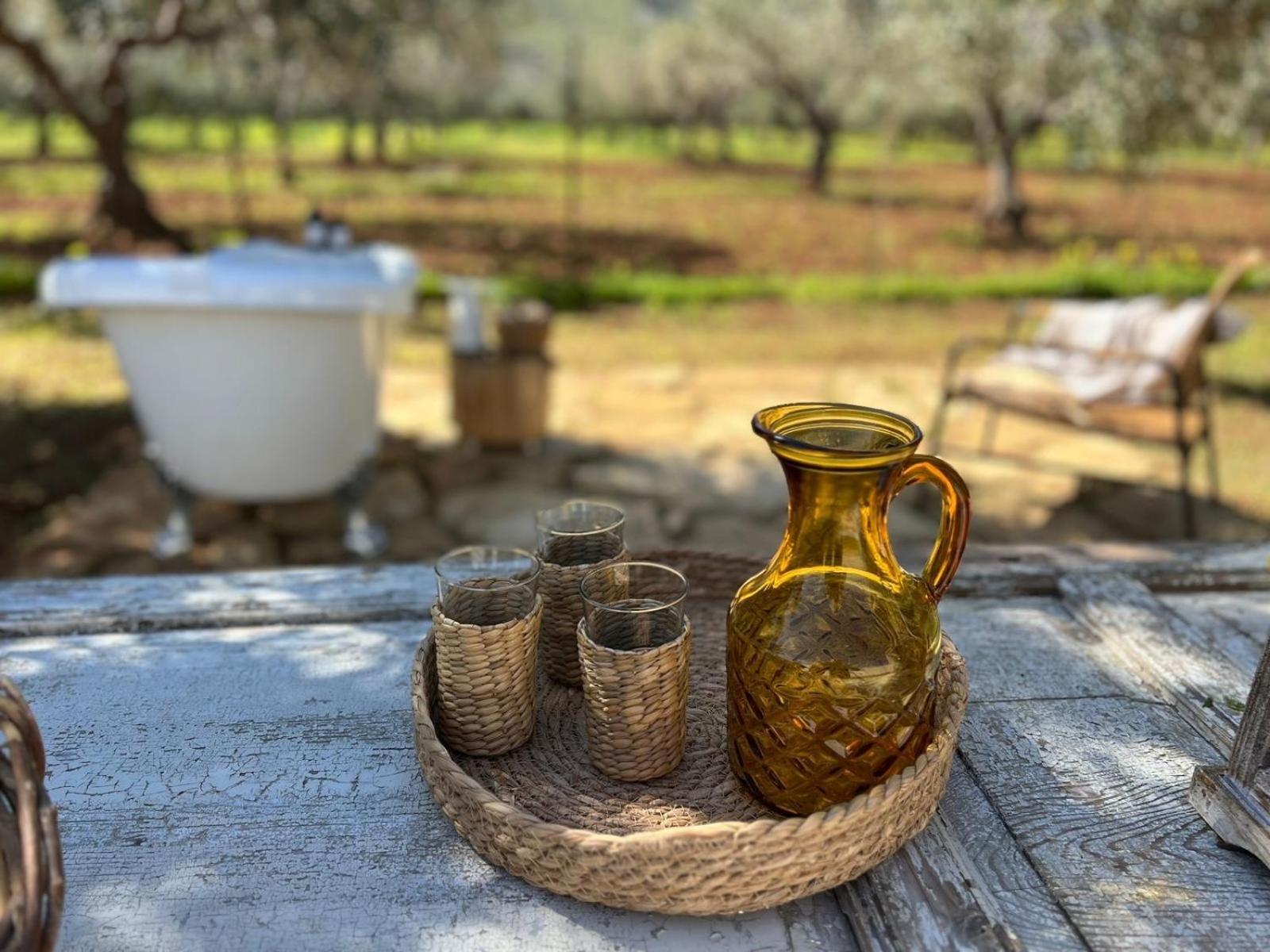 Villa Santareddi Castelluzzo Dış mekan fotoğraf